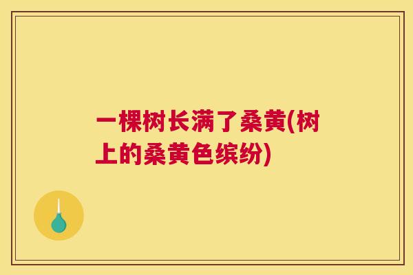 一棵树长满了桑黄(树上的桑黄色缤纷)