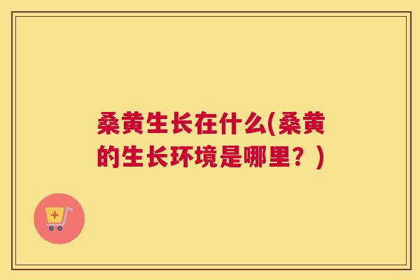 桑黄生长在什么(桑黄的生长环境是哪里？)