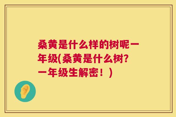 桑黄是什么样的树呢一年级(桑黄是什么树？一年级生解密！)