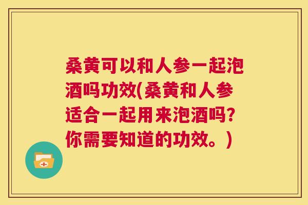 桑黄可以和人参一起泡酒吗功效(桑黄和人参适合一起用来泡酒吗？你需要知道的功效。)
