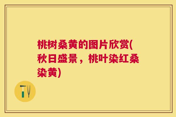 桃树桑黄的图片欣赏(秋日盛景，桃叶染红桑染黄)
