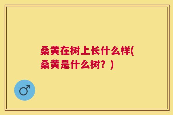 桑黄在树上长什么样(桑黄是什么树？)