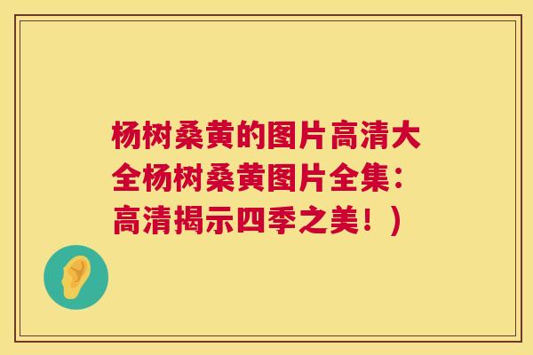 杨树桑黄的图片高清大全杨树桑黄图片全集：高清揭示四季之美！)