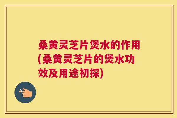 桑黄灵芝片煲水的作用(桑黄灵芝片的煲水功效及用途初探)