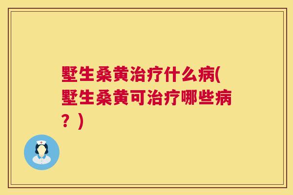墅生桑黄什么(墅生桑黄可哪些？)