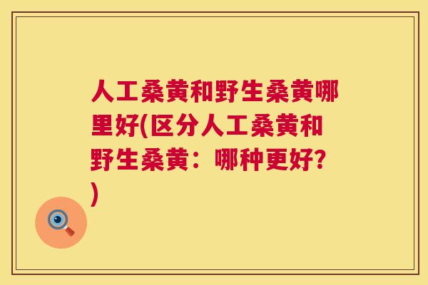 人工桑黄和野生桑黄哪里好(区分人工桑黄和野生桑黄：哪种更好？)
