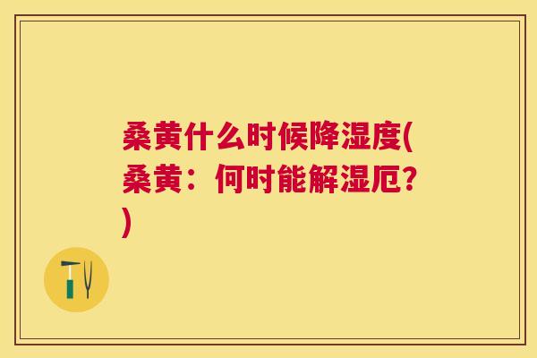 桑黄什么时候降湿度(桑黄：何时能解湿厄？)