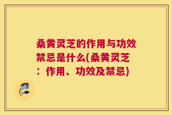 桑黄灵芝的作用与功效禁忌是什么(桑黄灵芝：作用、功效及禁忌)