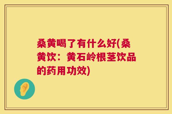 桑黄喝了有什么好(桑黄饮：黄石岭根茎饮品的药用功效)