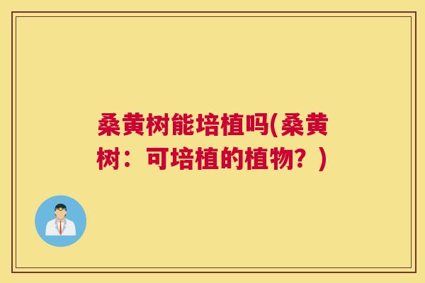 桑黄树能培植吗(桑黄树：可培植的植物？)