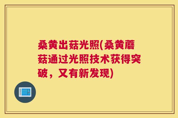 桑黄出菇光照(桑黄蘑菇通过光照技术获得突破，又有新发现)