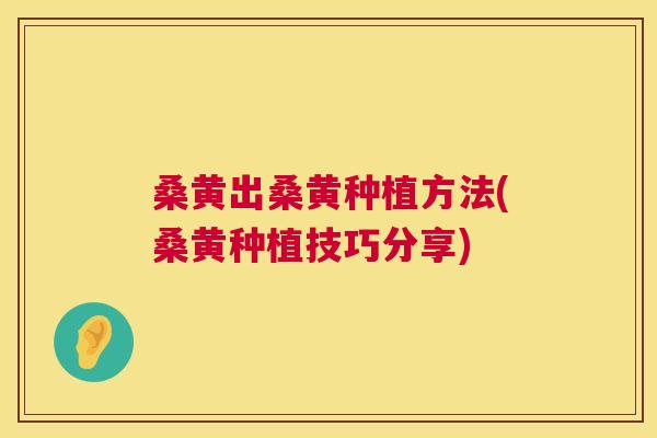 桑黄出桑黄种植方法(桑黄种植技巧分享)
