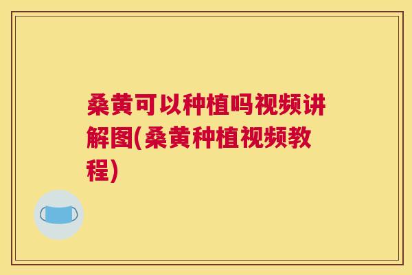 桑黄可以种植吗视频讲解图(桑黄种植视频教程)