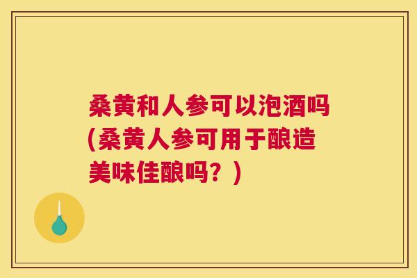 桑黄和人参可以泡酒吗(桑黄人参可用于酿造美味佳酿吗？)