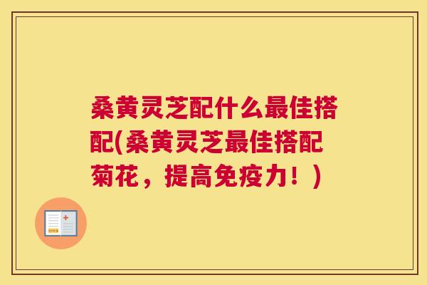 桑黄灵芝配什么佳搭配(桑黄灵芝佳搭配菊花，提高力！)