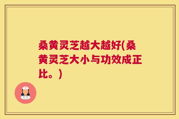 桑黄灵芝越大越好(桑黄灵芝大小与功效成正比。)