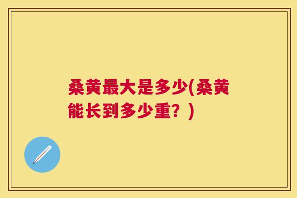 桑黄大是多少(桑黄能长到多少重？)