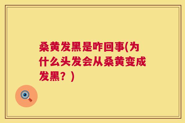 桑黄发黑是咋回事(为什么头发会从桑黄变成发黑？)