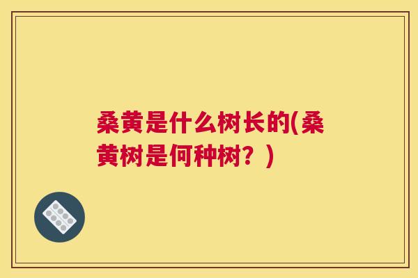 桑黄是什么树长的(桑黄树是何种树？)