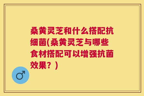 桑黄灵芝和什么搭配抗(桑黄灵芝与哪些食材搭配可以增强效果？)