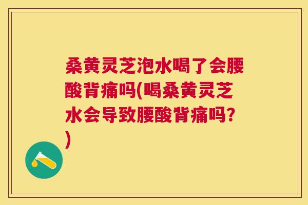 桑黄灵芝泡水喝了会腰酸背痛吗(喝桑黄灵芝水会导致腰酸背痛吗？)