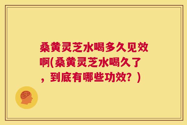 桑黄灵芝水喝多久见效啊(桑黄灵芝水喝久了，到底有哪些功效？)