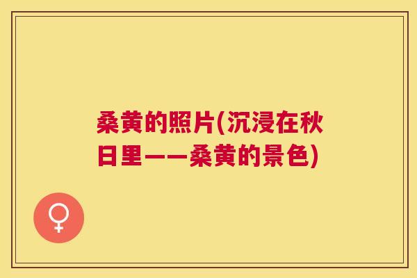 桑黄的照片(沉浸在秋日里——桑黄的景色)