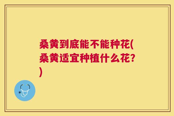 桑黄到底能不能种花(桑黄适宜种植什么花?) 桑黄到底能不能种花(桑黄适宜种植什么花?)