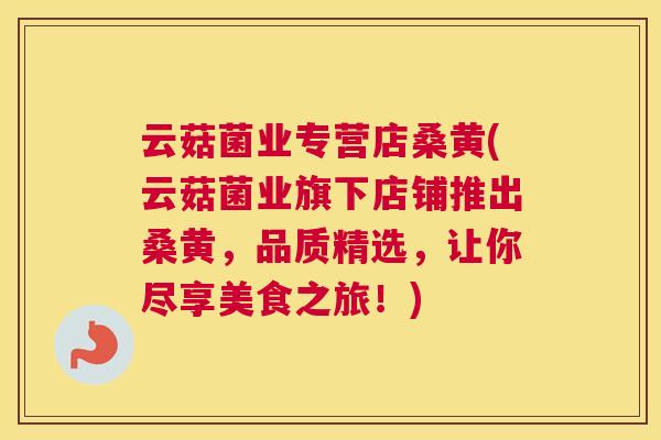 云菇菌业专营店桑黄(云菇菌业旗下店铺推出桑黄，品质精选，让你尽享美食之旅！)