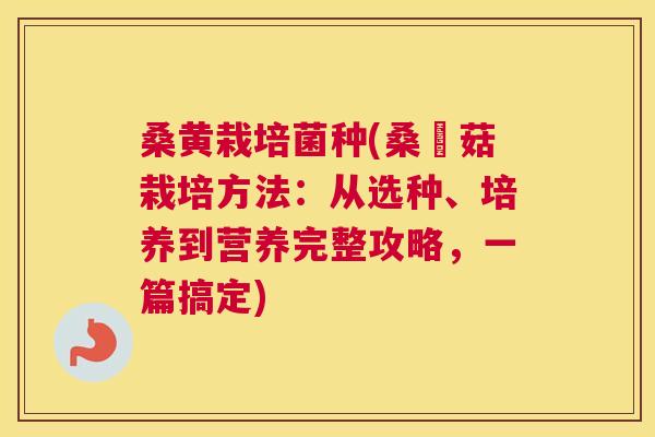 桑黄栽培菌种(桑黃菇栽培方法：从选种、培养到营养完整攻略，一篇搞定)