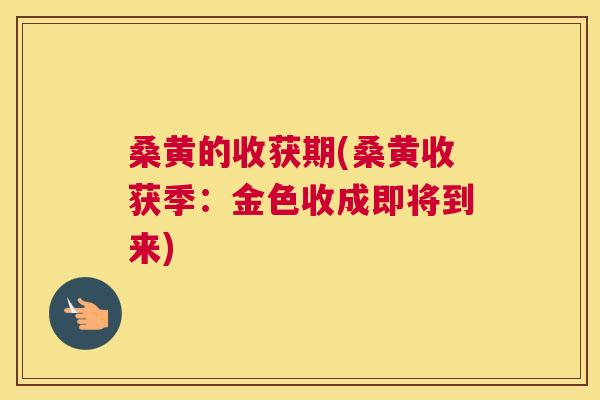 桑黄的收获期(桑黄收获季：金色收成即将到来)