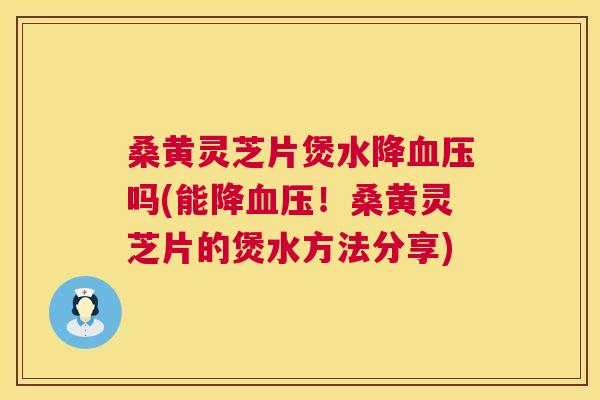 桑黄灵芝片煲水降吗(能降！桑黄灵芝片的煲水方法分享)