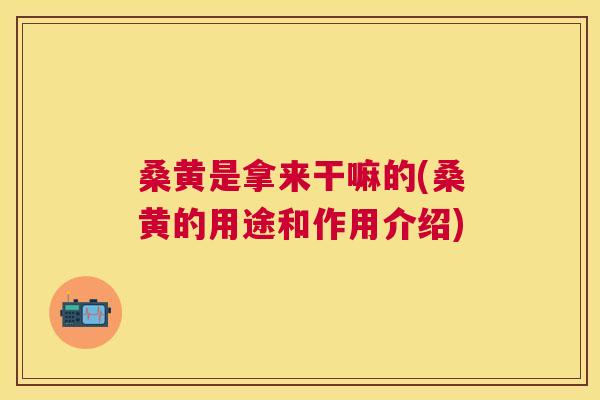 桑黄是拿来干嘛的(桑黄的用途和作用介绍)