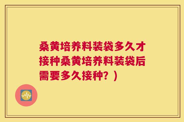 桑黄培养料装袋多久才接种桑黄培养料装袋后需要多久接种？)