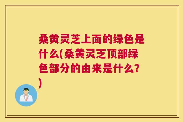 桑黄灵芝上面的绿色是什么(桑黄灵芝顶部绿色部分的由来是什么？)