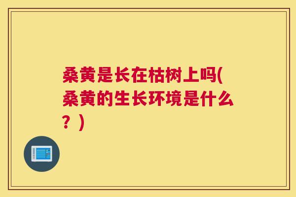 桑黄是长在枯树上吗(桑黄的生长环境是什么？)