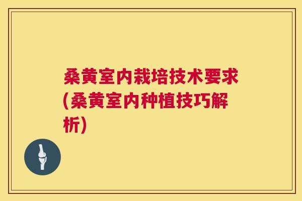 桑黄室内栽培技术要求(桑黄室内种植技巧解析)