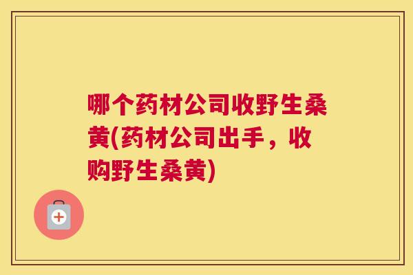 哪个药材公司收野生桑黄(药材公司出手，收购野生桑黄)