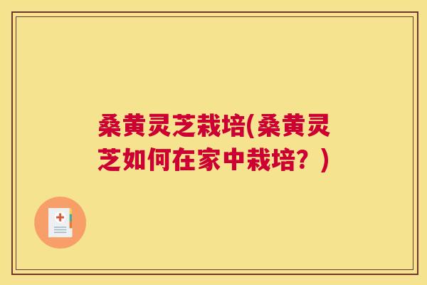 桑黄灵芝栽培(桑黄灵芝如何在家中栽培？)