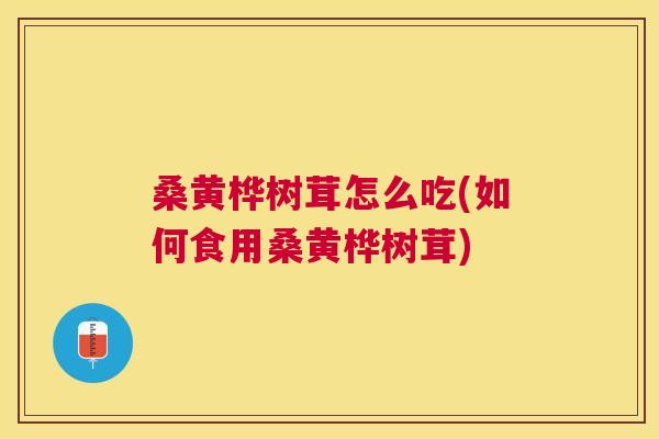 桑黄桦树茸怎么吃(如何食用桑黄桦树茸)