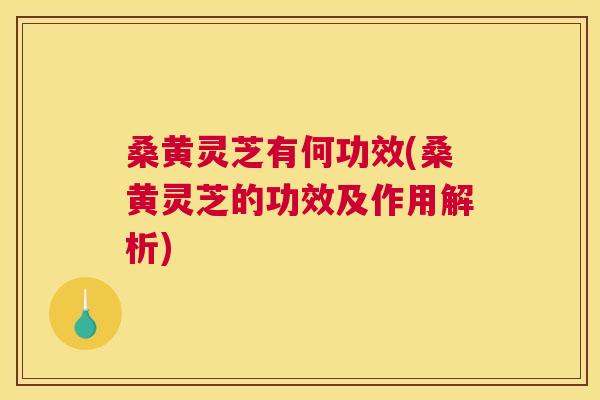 桑黄灵芝有何功效(桑黄灵芝的功效及作用解析)