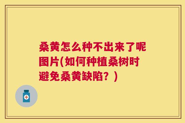 桑黄怎么种不出来了呢图片(如何种植桑树时避免桑黄缺陷？)