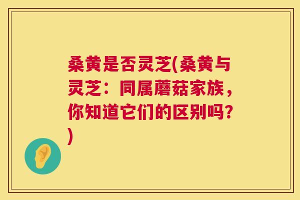 桑黄是否灵芝(桑黄与灵芝：同属蘑菇家族，你知道它们的区别吗？)