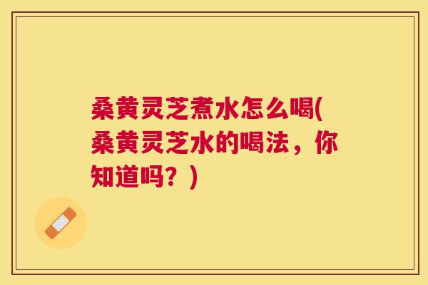 桑黄灵芝煮水怎么喝(桑黄灵芝水的喝法，你知道吗？)