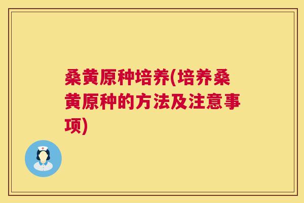 桑黄原种培养(培养桑黄原种的方法及注意事项)