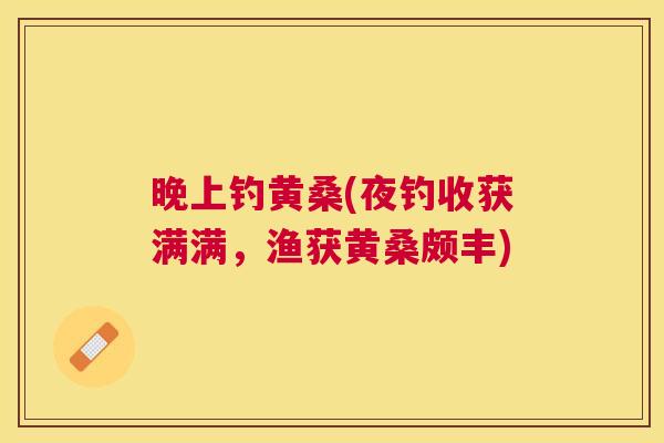 晚上钓黄桑(夜钓收获满满，渔获黄桑颇丰)