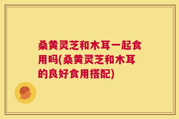 桑黄灵芝和木耳一起食用吗(桑黄灵芝和木耳的良好食用搭配)