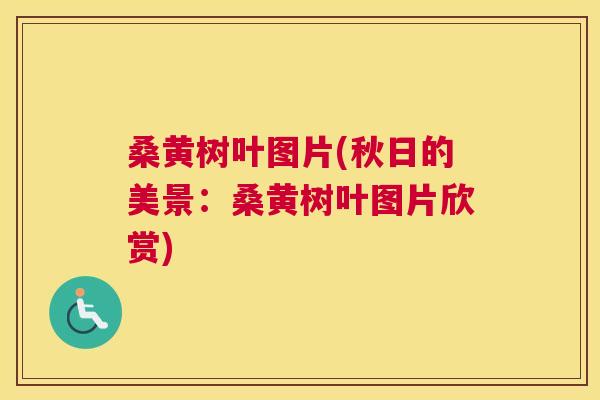 桑黄树叶图片(秋日的美景：桑黄树叶图片欣赏)