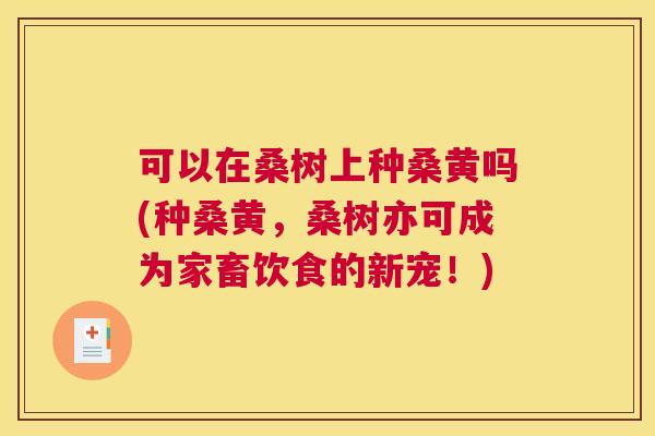 可以在桑树上种桑黄吗(种桑黄，桑树亦可成为家畜饮食的新宠！)