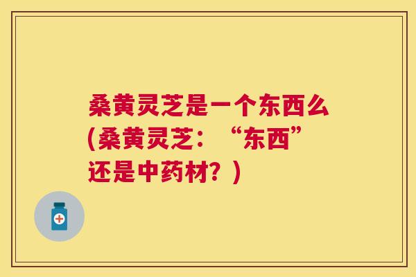 桑黄灵芝是一个东西么(桑黄灵芝：“东西”还是材？)